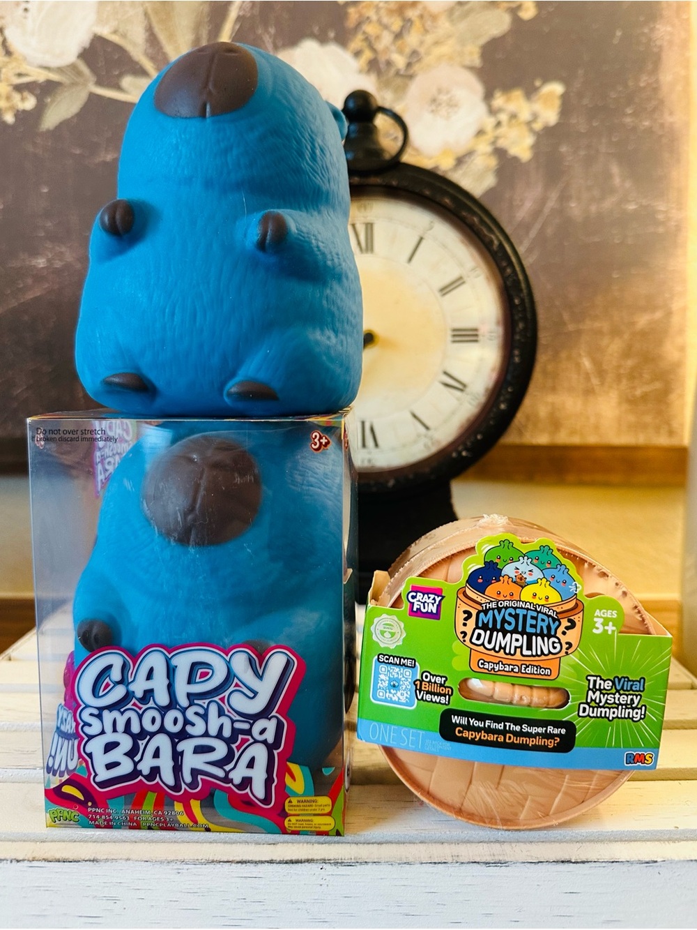 π©΅π»π©΅ Viral Five Below Capybara and RMS Capybara Edition Dumpling π©΅π»π©΅